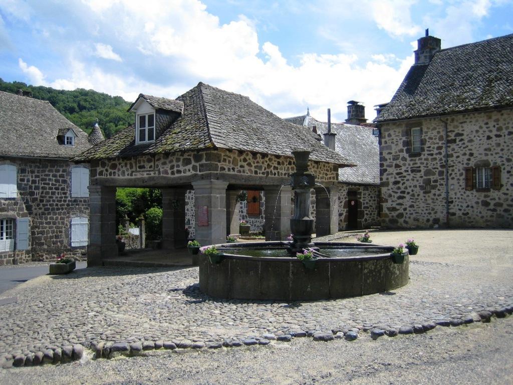 Domaine De La Chaux De Revel Pension Saint-Martin-Valmeroux Buitenkant foto