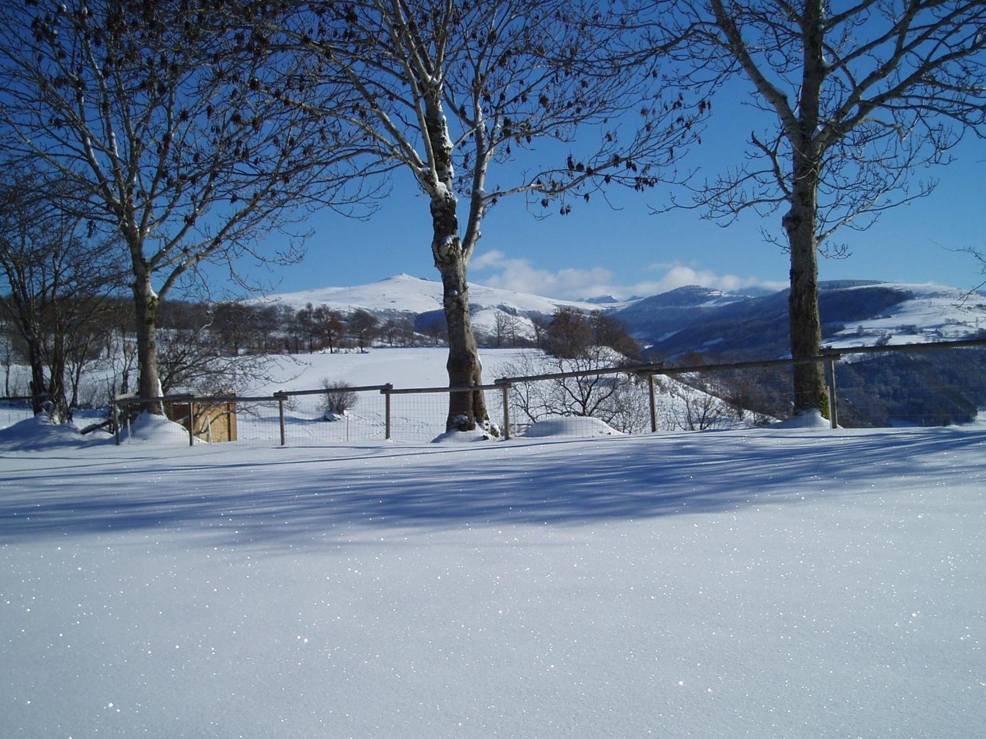 Domaine De La Chaux De Revel Pension Saint-Martin-Valmeroux Buitenkant foto