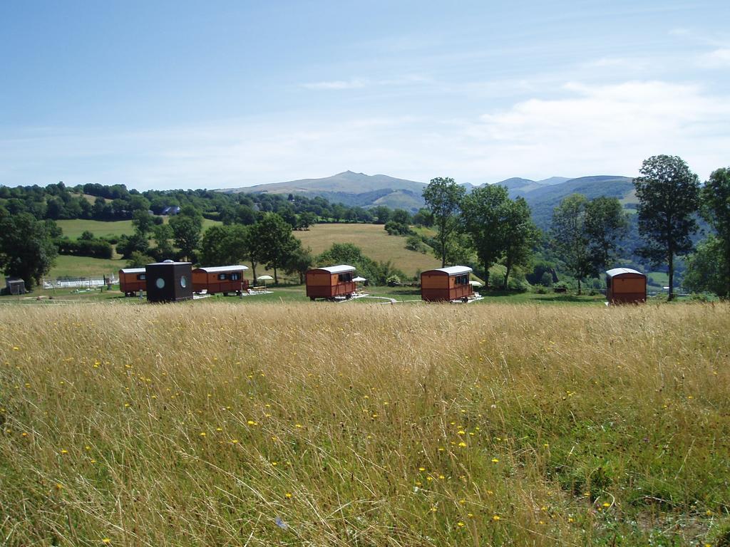 Domaine De La Chaux De Revel Pension Saint-Martin-Valmeroux Buitenkant foto