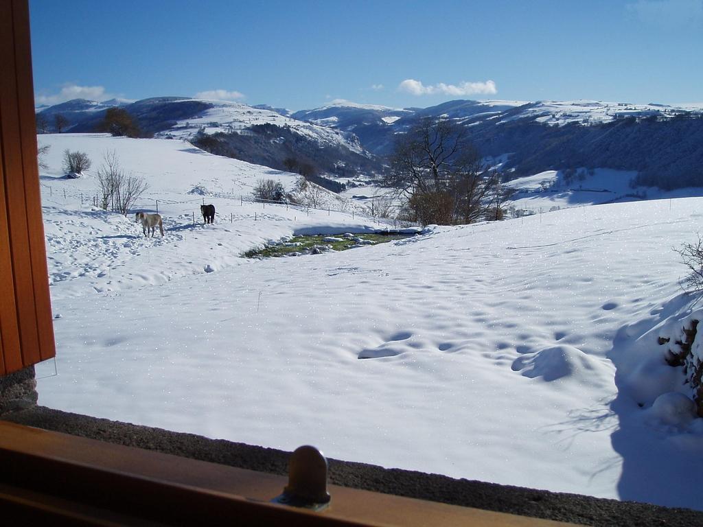 Domaine De La Chaux De Revel Pension Saint-Martin-Valmeroux Buitenkant foto