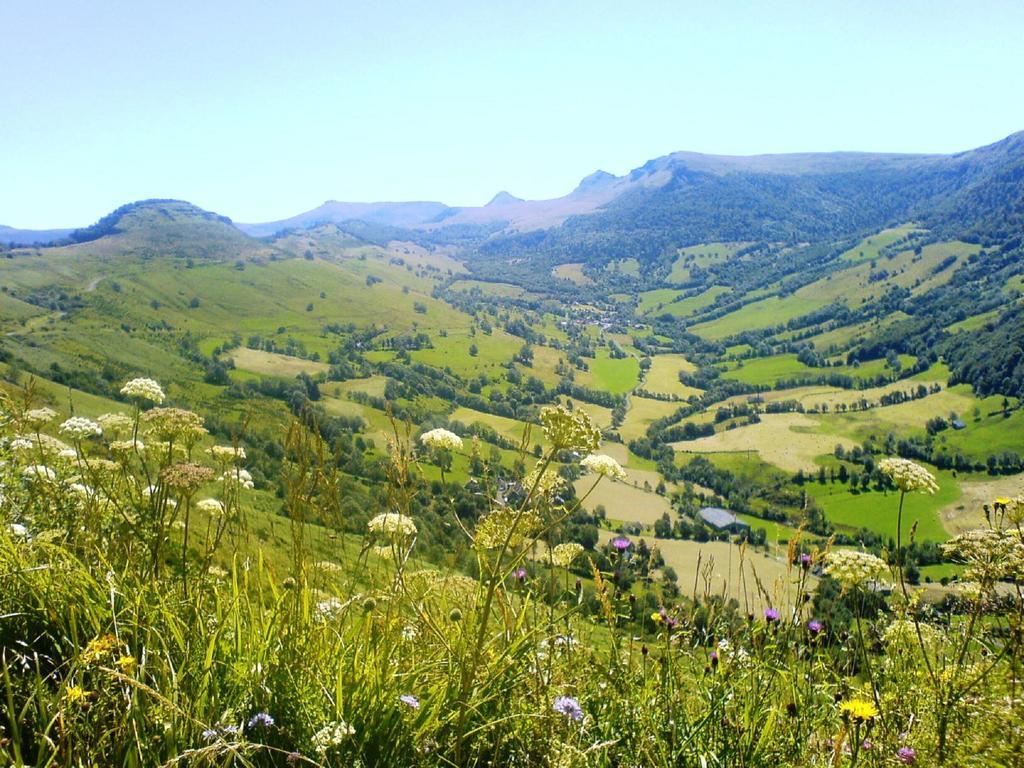Domaine De La Chaux De Revel Pension Saint-Martin-Valmeroux Buitenkant foto